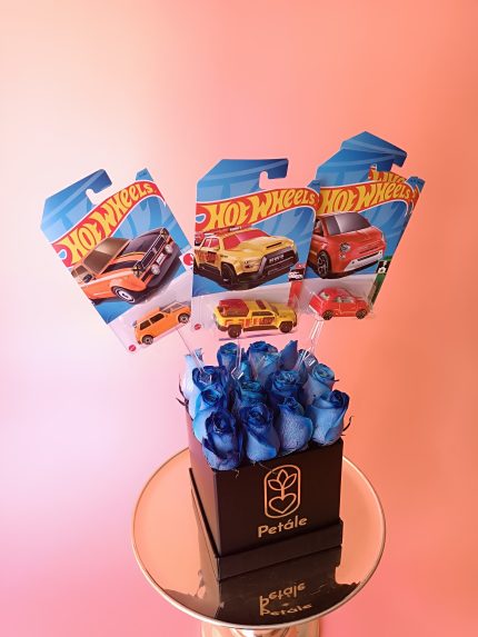 box de hotwheels