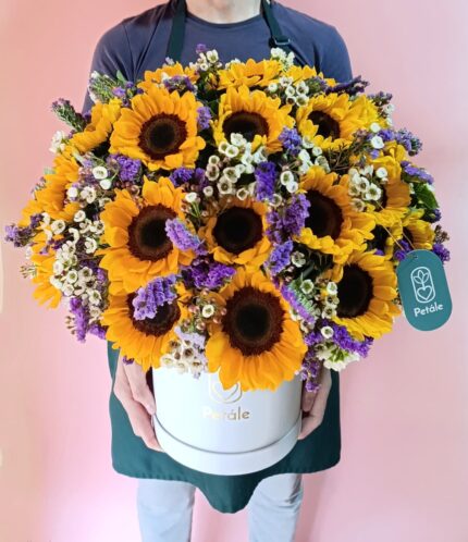 box de girasoles