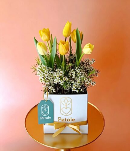 box de 6 tulipanes amarillos